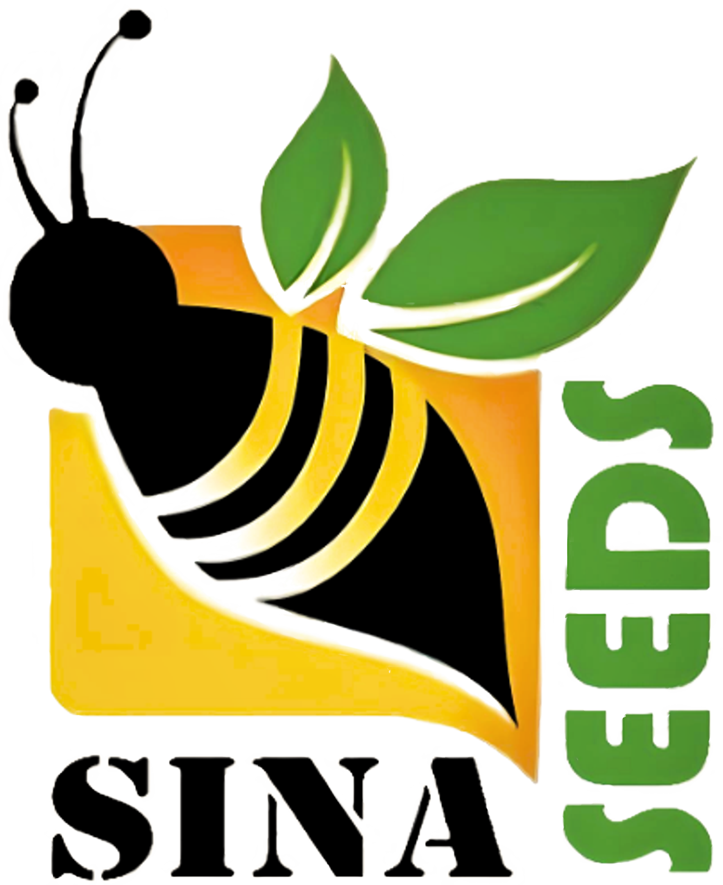 Sina Seeds